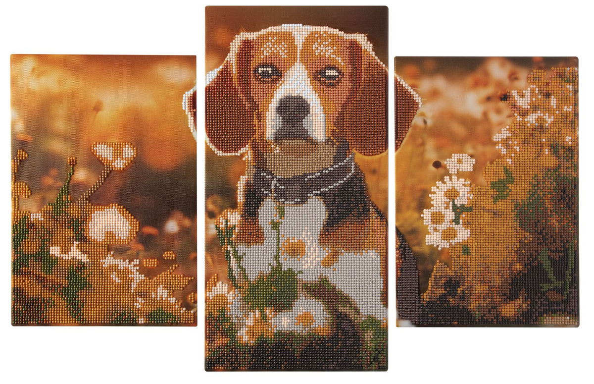 Joya Creative Tríptico de diamond painting de perro - Diamond painting DIY para adultos con 3 paneles y piezas redondas