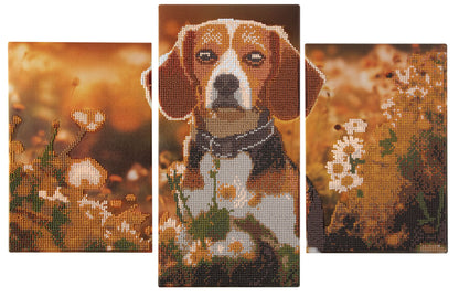Joya Creative Tríptico de diamond painting de perro - Diamond painting DIY para adultos con 3 paneles y piezas redondas